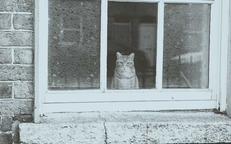 Co warto rozumieć o otwartych stolarce okiennej w Wrocławiu? Czy